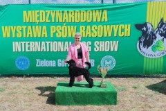 wystawa-psow-zielona-gora-6